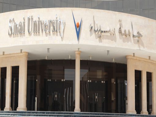 جامعة سيناء